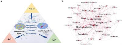 Differences in the Plastispheres of Biodegradable and Non-biodegradable Plastics: A Mini Review